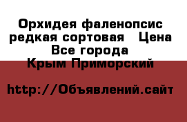 Орхидея фаленопсис редкая сортовая › Цена ­ 800 - Все города  »    . Крым,Приморский